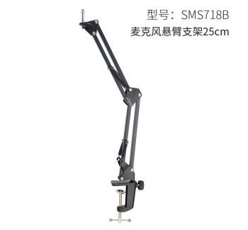 麦克风悬臂支架25cm