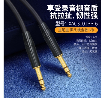 【黑头镀金款】音频线双直头-6米 XAC3101BB-6