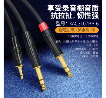 【黑头镀金款】音频线双直头-6米 XAC3107BB-6